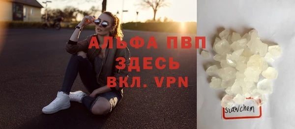 ПСИЛОЦИБИНОВЫЕ ГРИБЫ Белокуриха