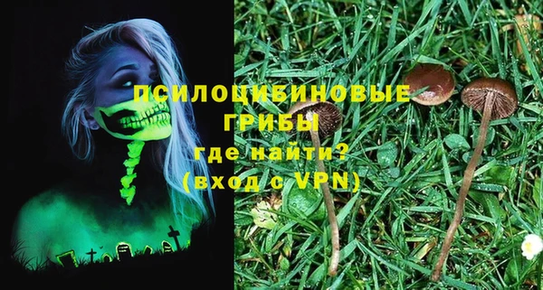 ПСИЛОЦИБИНОВЫЕ ГРИБЫ Белокуриха