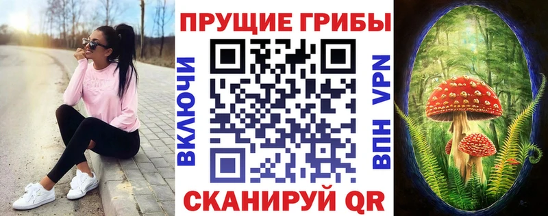 Псилоцибиновые грибы ЛСД  omg   Кингисепп 